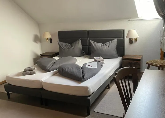 Bistro-zur-quelle 3* 明登